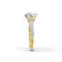 The Epitome of Sparkle.webp