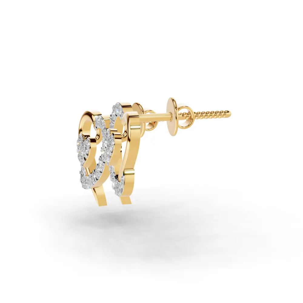 Crimson Charms Drop Earring.webp